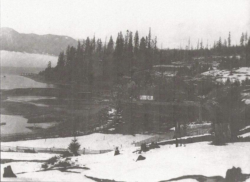 A Holly Winter, c.1900’s